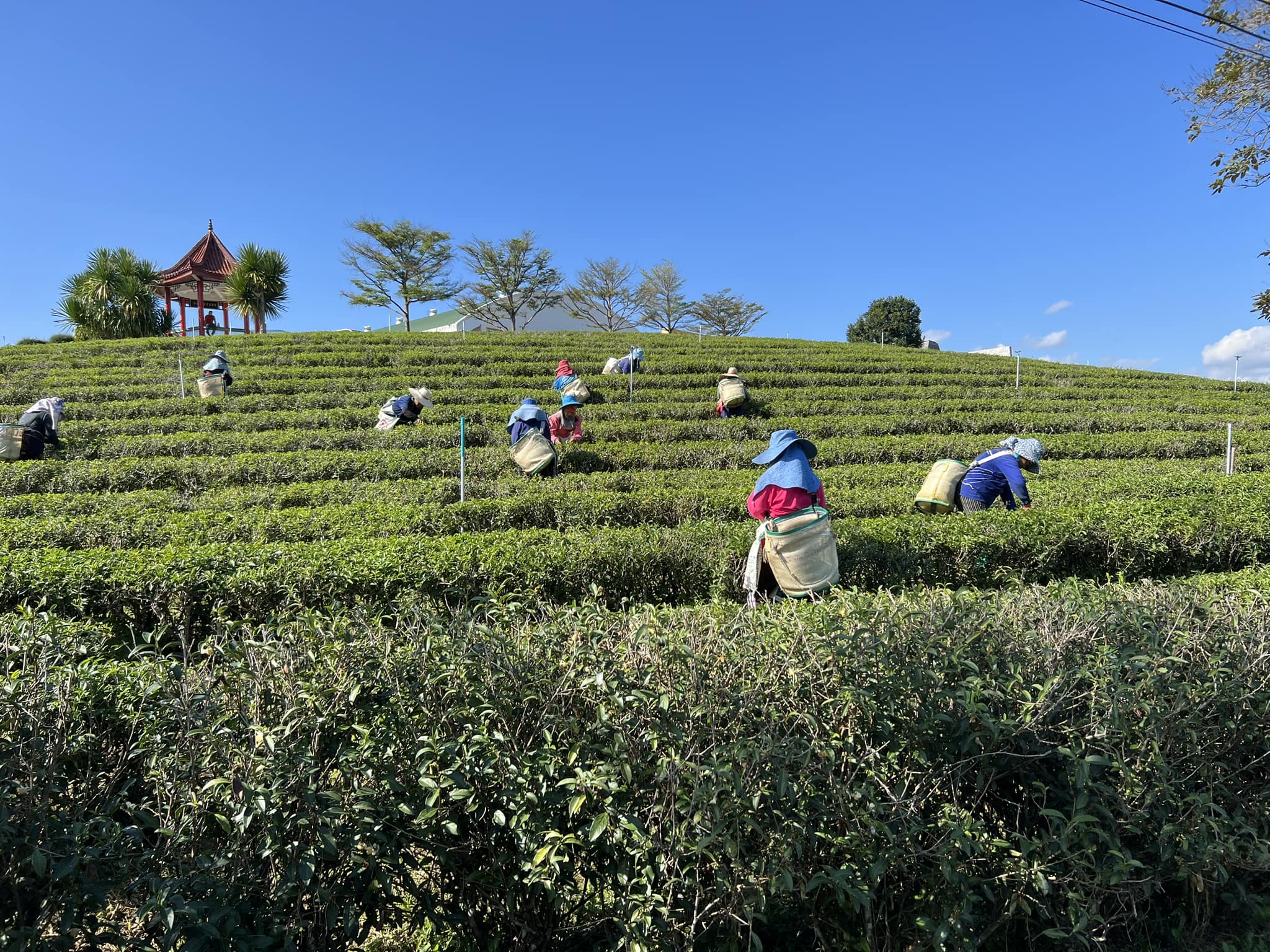 The Art of Drawing Readers In: Your attractive post title goes here ...